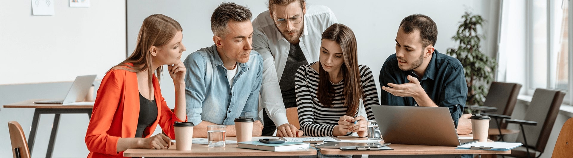 Frontend Development Course